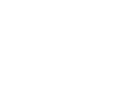 Incineration Festival